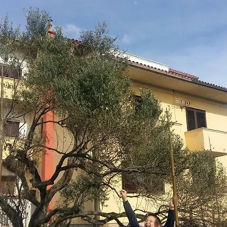 Apartament Begovi Dvori *